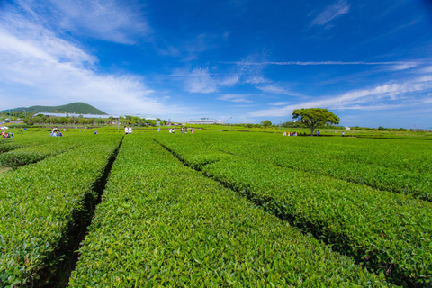 Jeju: All Pass Save on Attractions & Experiences (24/48/72h) Mobile pass · 48-hour