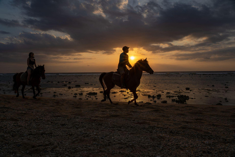 Saint John: Private Sunset Horseback Riding Experience