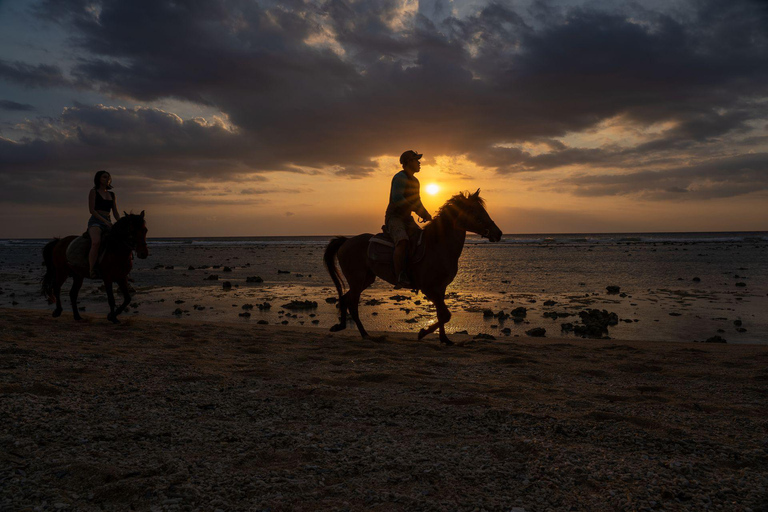 Saint John: Private Sunset Horseback Riding Experience