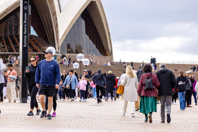 Sydney: Bondi Beach, Ópera y Visita Privada a la Ciudad de Sídney
