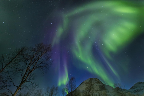 De Tromsø: Perseguição de ônibus guiada pela aurora borealDe Tromsø: Tour Guiado de Ônibus em Busca da Aurora Boreal