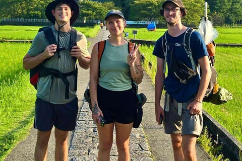 Wakayama: Private Hidden Trails & Nachi Falls Day Tour