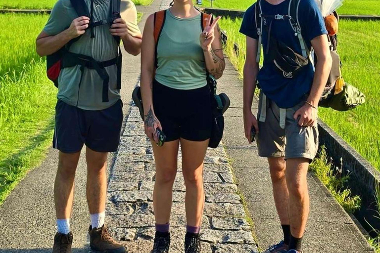 Wakayama: Private Hidden Trails & Nachi Falls Day Tour