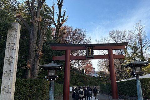 Tokyo: Yanaka District History Walking Tour