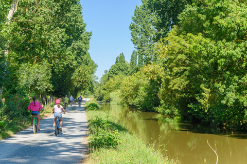 Marais Poitevin: jazda na rowerze w zielonej Wenecji