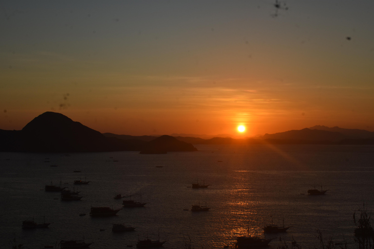 Labuan Bajo: Honeymoon Package Komodo Island Tour