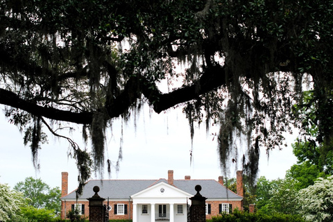 Charleston: Historic District &amp; Plantation VIP Private Tour