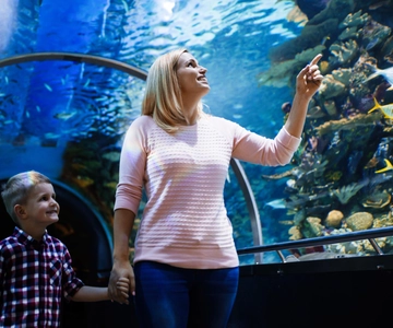 Antalya: Ingresso para o Aquário e o Museu de Cera