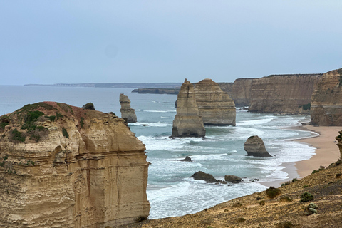 Great Ocean Road Tour PRIVATE LUXURY-FREE entry,hotel pickup 12 Apostles,Great Ocean Road Private SMAL GROUP Tour ALL INC