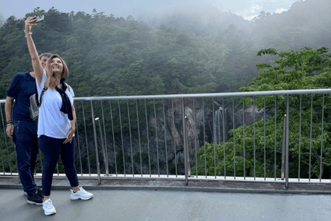 Depuis Tokyo : Excursion privée d&#039;une journée à Nikko, site du patrimoine mondial