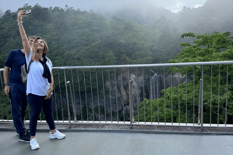 Depuis Tokyo : Excursion privée d&#039;une journée à Nikko, site du patrimoine mondial