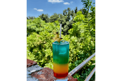 From Lima: Paracas, Ica, and Huacachina Day Tour