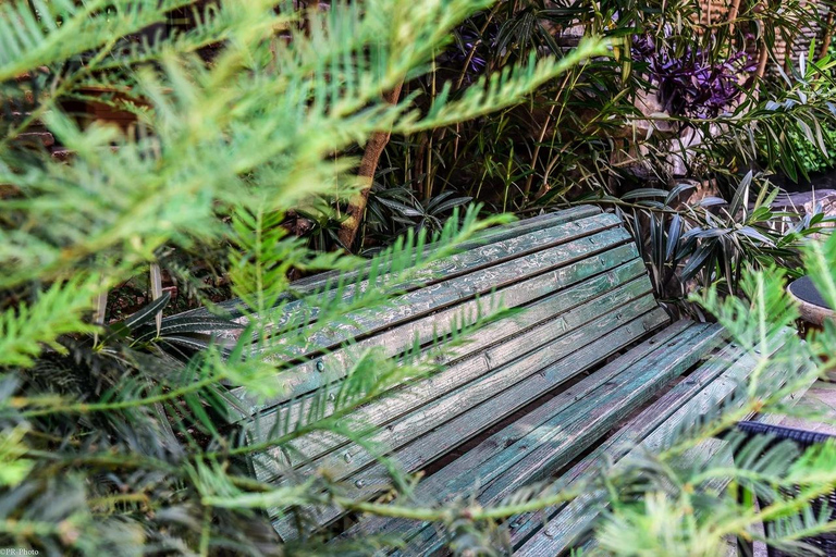 Tbilisi: 3-daags verblijf met stadstour en verborgen juweeltjes