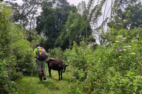 Kandy: Knuckles Mountain Range Guided Trekking Tour
