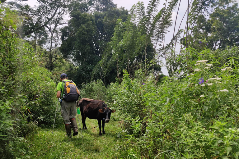 Kandy: Knuckles Mountain Range Guided Trekking Tour