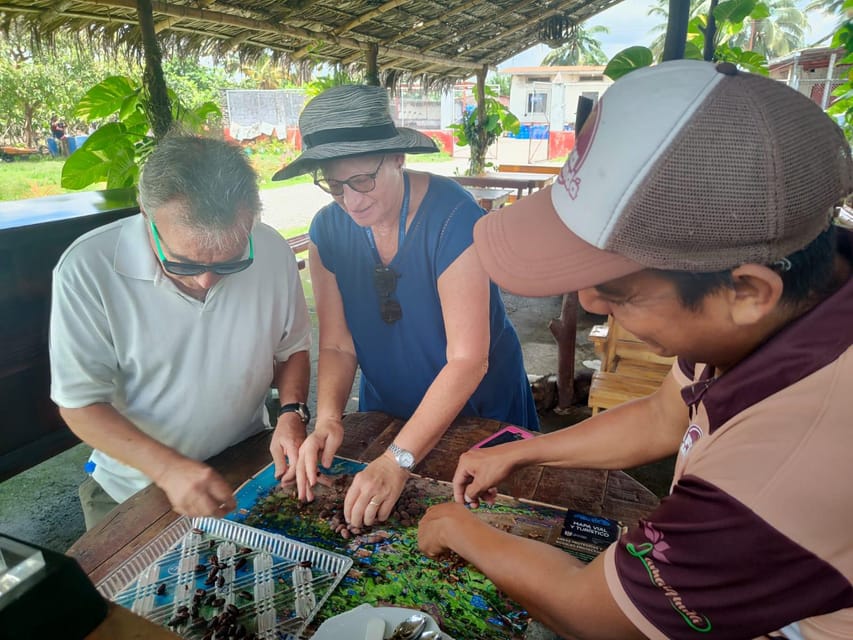 Guayaquil Cloud forest and cocoa farm tour & Lunch GetYourGuide