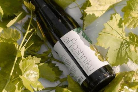 Roshnik: Wine Tasting Experience at the Agrotourism Winery