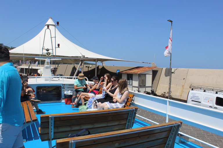 Capri: Blue Cruise with Guide from Sorrento, C.Stabia,Seiano From Seiano: Capri Blue Cruise