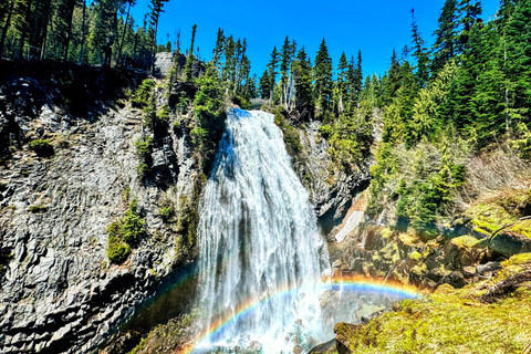 From Seattle: Customized Mount Rainier Tour