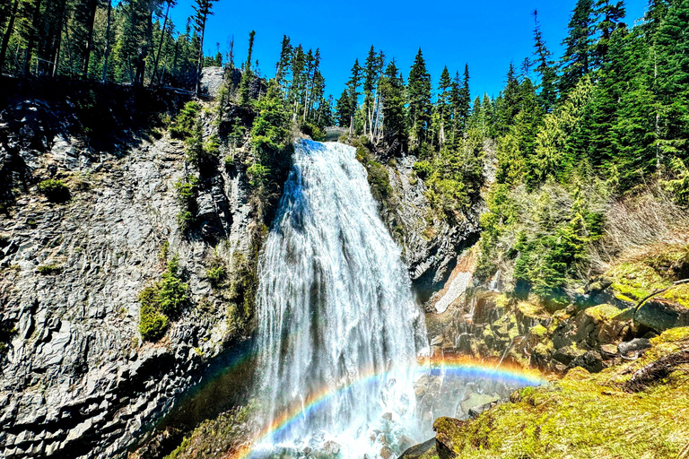 From Seattle: Customized Mount Rainier Tour