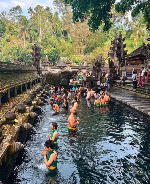 Apenbos Tirta Empul Rijstterras Waterval En Schommel Getyourguide