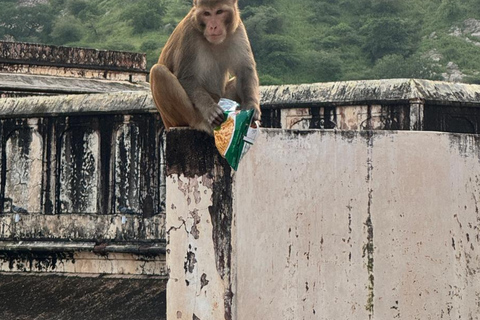 2-Day Jaipur Heritage Tour with Samode Palace & Village Private Jaipur & Samode Tour (Car + Guide + Samade Entry)