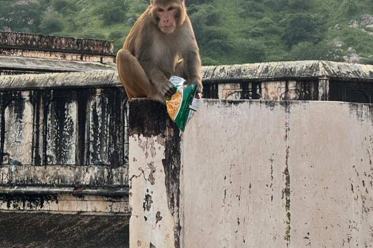 2-Day Jaipur Heritage Tour with Samode Palace & Village Private Jaipur & Samode Tour (Car + Guide + Samade Entry)