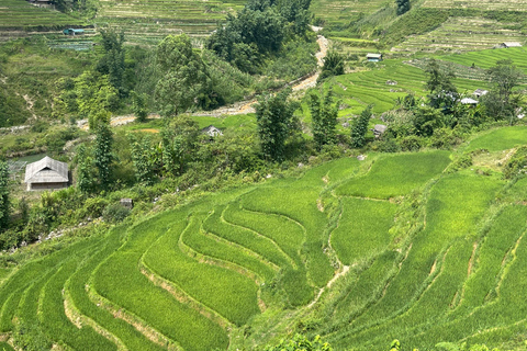 Red Dao Village Trek and Herbal Bath