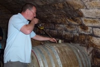 From Budapest, Half-Day Etyek Wine Tour with Meal - Housity