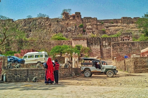 Från Jaipur: Ranthambore National Park Dagsutflykt med Safari