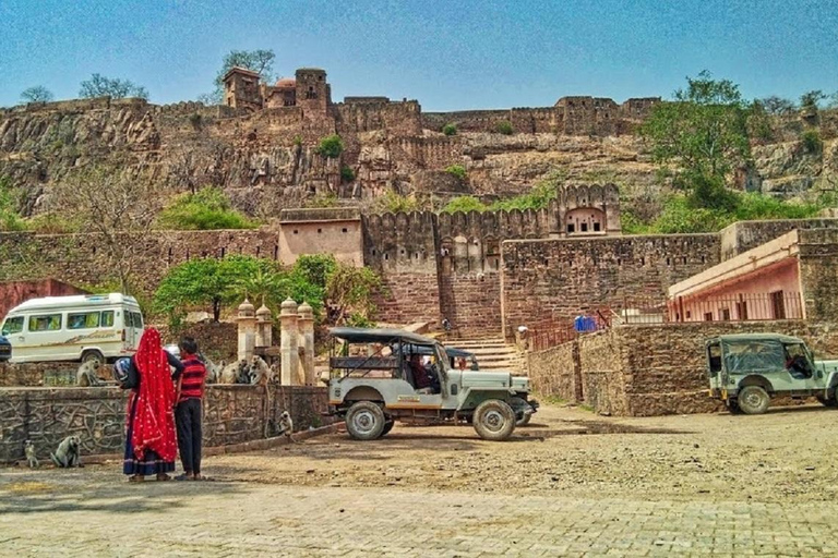 Vanuit Jaipur: Dagtrip Ranthambore National Park met Safari