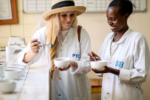 2-dniowa wycieczka kawowa nad jezioro Kivu2 dni od ziarna do filiżanki – kawa z jeziora Kivu