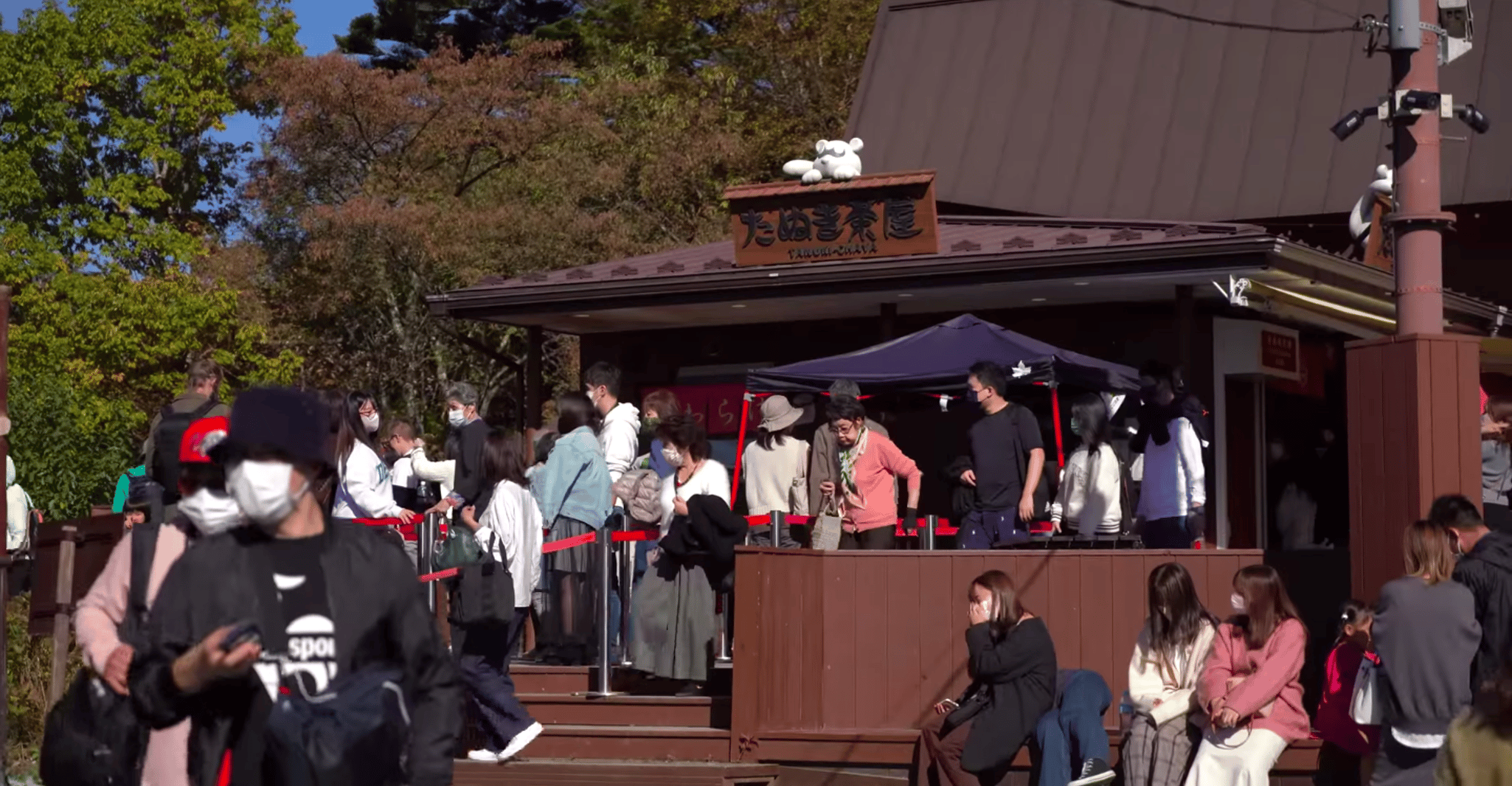 Da Tokyo, Mt. Fuji Sightseeing Private Day Tour - Hizvo