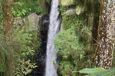 Yogyakarta: Merapi Jeep 4x4 & Waterfall with Sunrise option Merapi Jeep & Waterfall Day tour