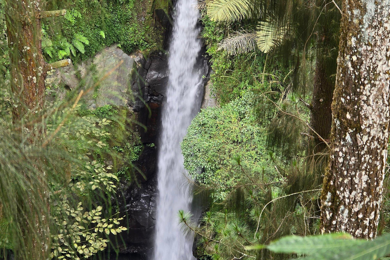 Yogyakarta: Merapi Jeep 4x4 & Waterfall with Sunrise option Merapi Jeep & Waterfall Day tour