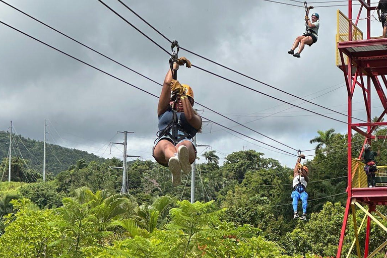 Privé: Puerto Plata Zip-Line Thrill ExperiencePrivé: spannende zip-line-ervaring in Puerto Plata