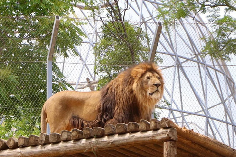 Baku: Baku Zoo Guided Tour with Hotel Pickup