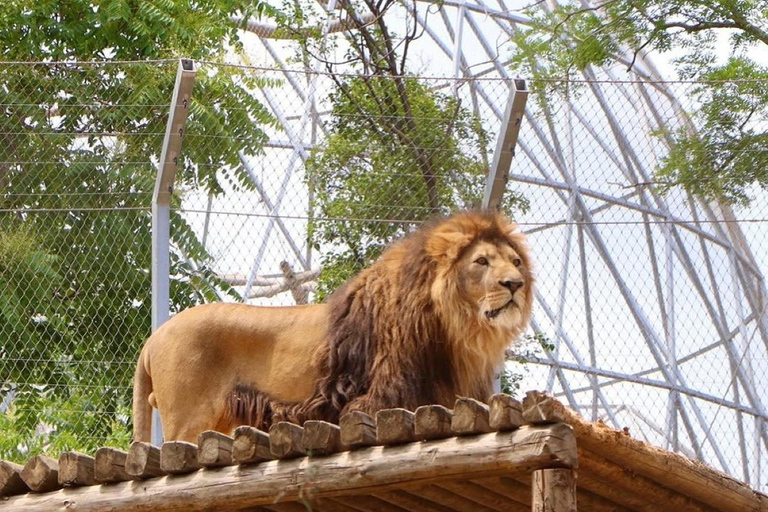 Baku: Baku Zoo Guided Tour with Hotel Pickup