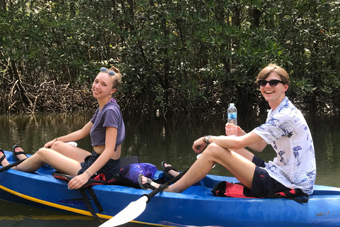 Ko Lanta: Halve Dag Tour EXPLORE MANGROVE per KAYAKING Tour