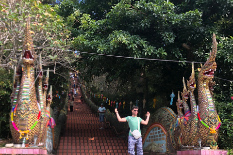 Chiang Mai: Wat Umong, Wat Pha Lat And Wat Doi Suthep TourSmall Group Tour with Hotel Pickup