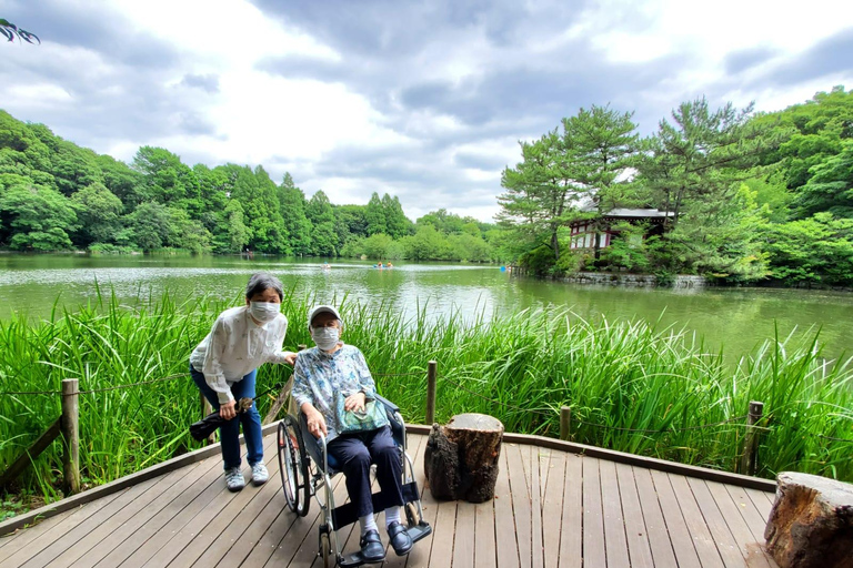 Full Day Private Tokyo Tour for Wheelchair Users