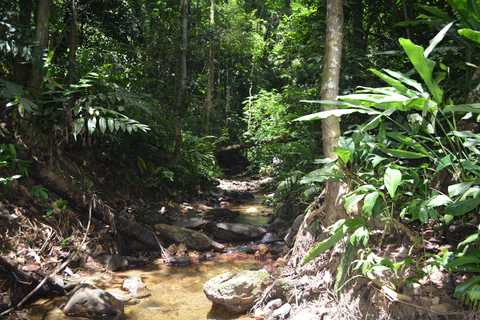 Trinidad: Excursión a la Cascada de Paria