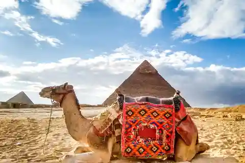 From Sharm El-Sheikh: Cairo Day Tour to Pyramids By Bus