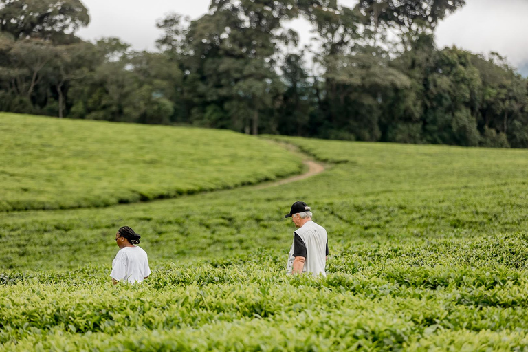 Kigali: 3-Day Culture, Canopy & Waterfalls Safari Tour