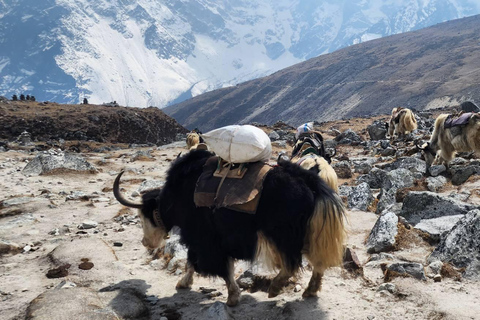 From Lukla: 18-Day Everest Base Camp and Gokyo Lakes Trek