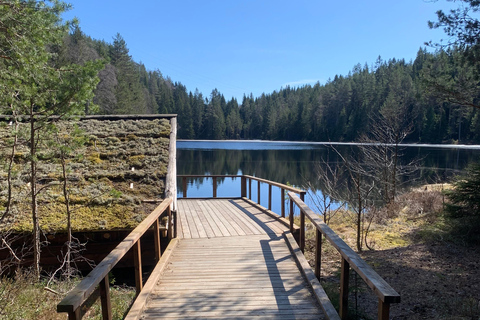 Oslo: escursione guidata nel Parco Nazionale di Østmarka con cibo cotto sul fuocoOslo: escursione guidata al Parco Nazionale di Østmarka con cibo sul fuoco