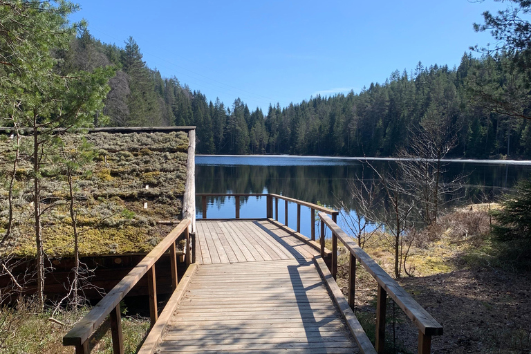 Oslo: escursione guidata nel Parco Nazionale di Østmarka con cibo cotto sul fuocoOslo: escursione guidata al Parco Nazionale di Østmarka con cibo sul fuoco