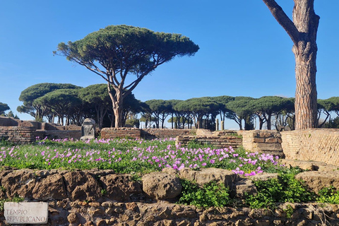 Rome:Ostia Antica Skip-the-line Ticket & Audioguide Skip-the-line Ticket with Audioguide