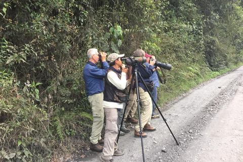 Da Cusco: 5 giorni di esplorazione e connessione nella Zona Riservata del ManuDa Cusco: 5 giorni di esplorazione e connessione nella Zona Riservata di Manu