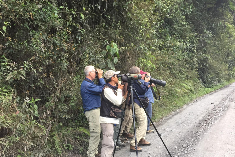 Da Cusco: 5 giorni di esplorazione e connessione nella Zona Riservata del ManuDa Cusco: 5 giorni di esplorazione e connessione nella Zona Riservata di Manu